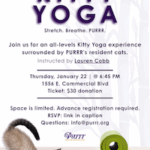 Kitty Yoga with Lauren Cobb