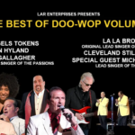 The Best of Doo Wop IV