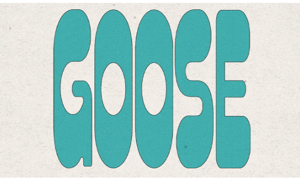 An Evening with Goose