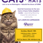 PURRR to Host “Cats + Hard Hats”