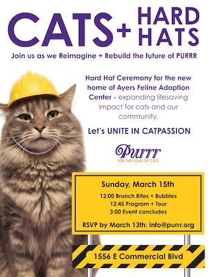 PURRR to Host “Cats + Hard Hats”