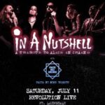 In A Nutshell: Tribute To Alice In Chains