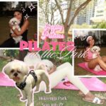 Pilates at The Park