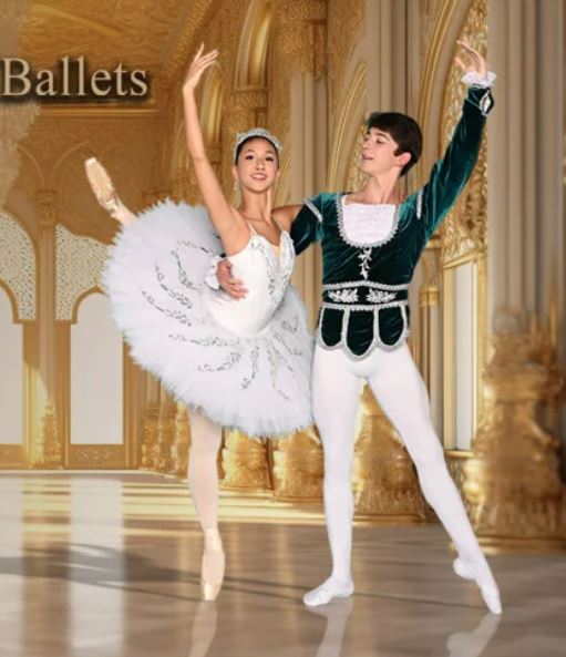 Arts Ballet Theatre of Florida
