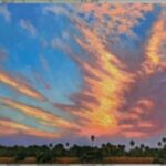 Timeless Tropics: Florida's Changing Landscape