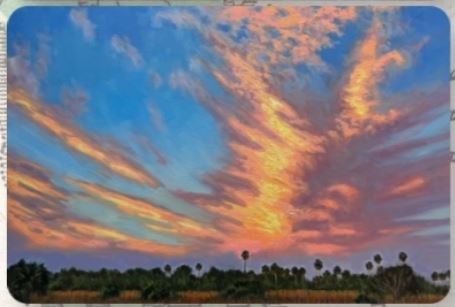 Timeless Tropics: Florida's Changing Landscape
