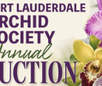 Ft Lauderdale Orchid Society Annual Orchid Auction