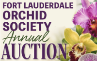 Ft Lauderdale Orchid Society Annual Orchid Auction