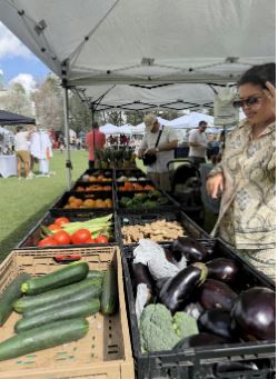 Community Farmer's Market