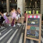 Sunny Stroll Market