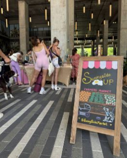 Sunny Stroll Market