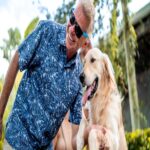 Doggy Fest by The Flamingo Flea