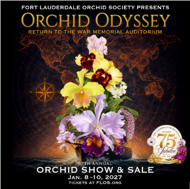 "Orchid Odyssey"