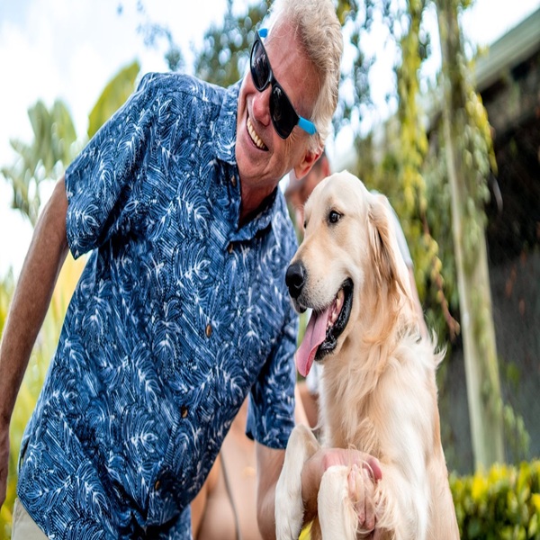 Doggy Fest by The Flamingo Flea