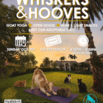 “Whiskers & Hooves” Goat Yoga on Oct. 4