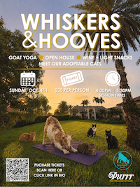 “Whiskers & Hooves” Goat Yoga on Oct. 4