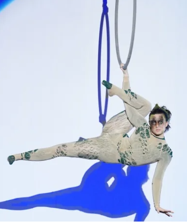 AERIAL ARTS SOCIETY COMPETITION 2026