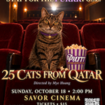 PURRR to Host a Viewing of “25 Cats of Qatar” Film