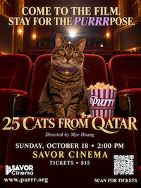 PURRR to Host a Viewing of “25 Cats of Qatar” Film